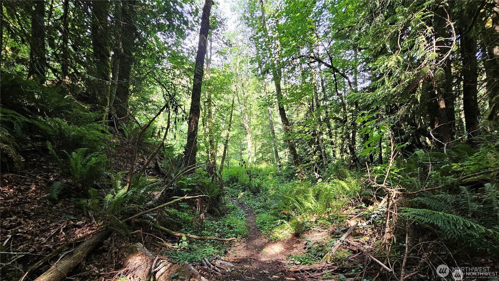 MLS #NWM2469853 image #20