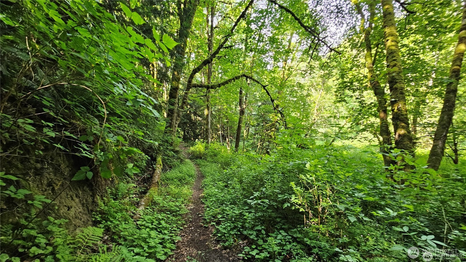 MLS #NWM2469853 image #18