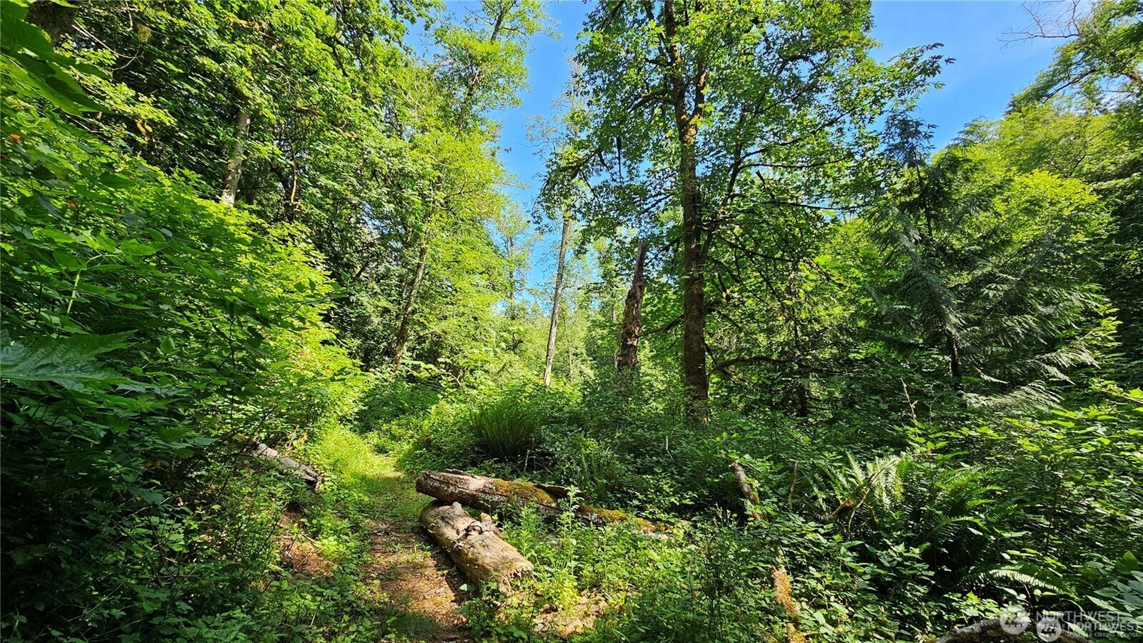 MLS #NWM2469853 image #6