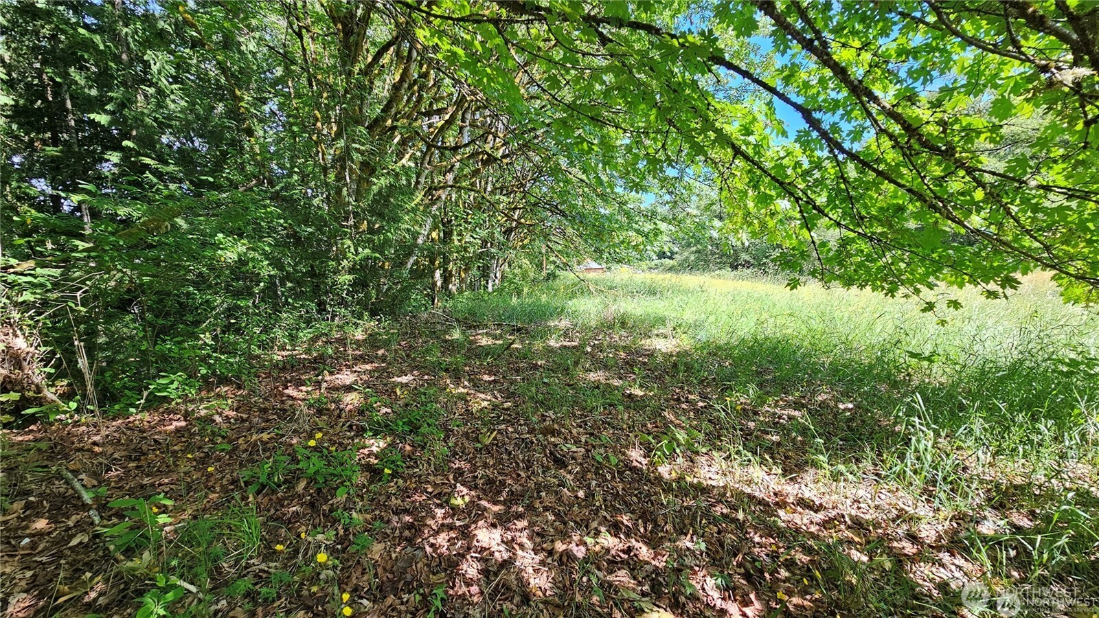 MLS #NWM2469853 image #21