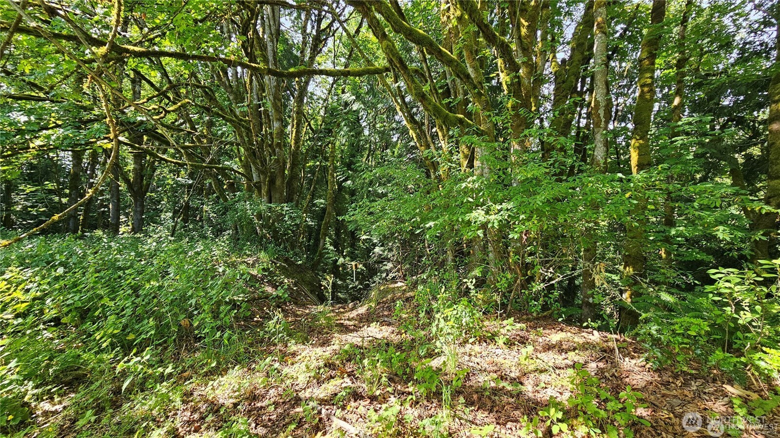 MLS #NWM2469853 image #29