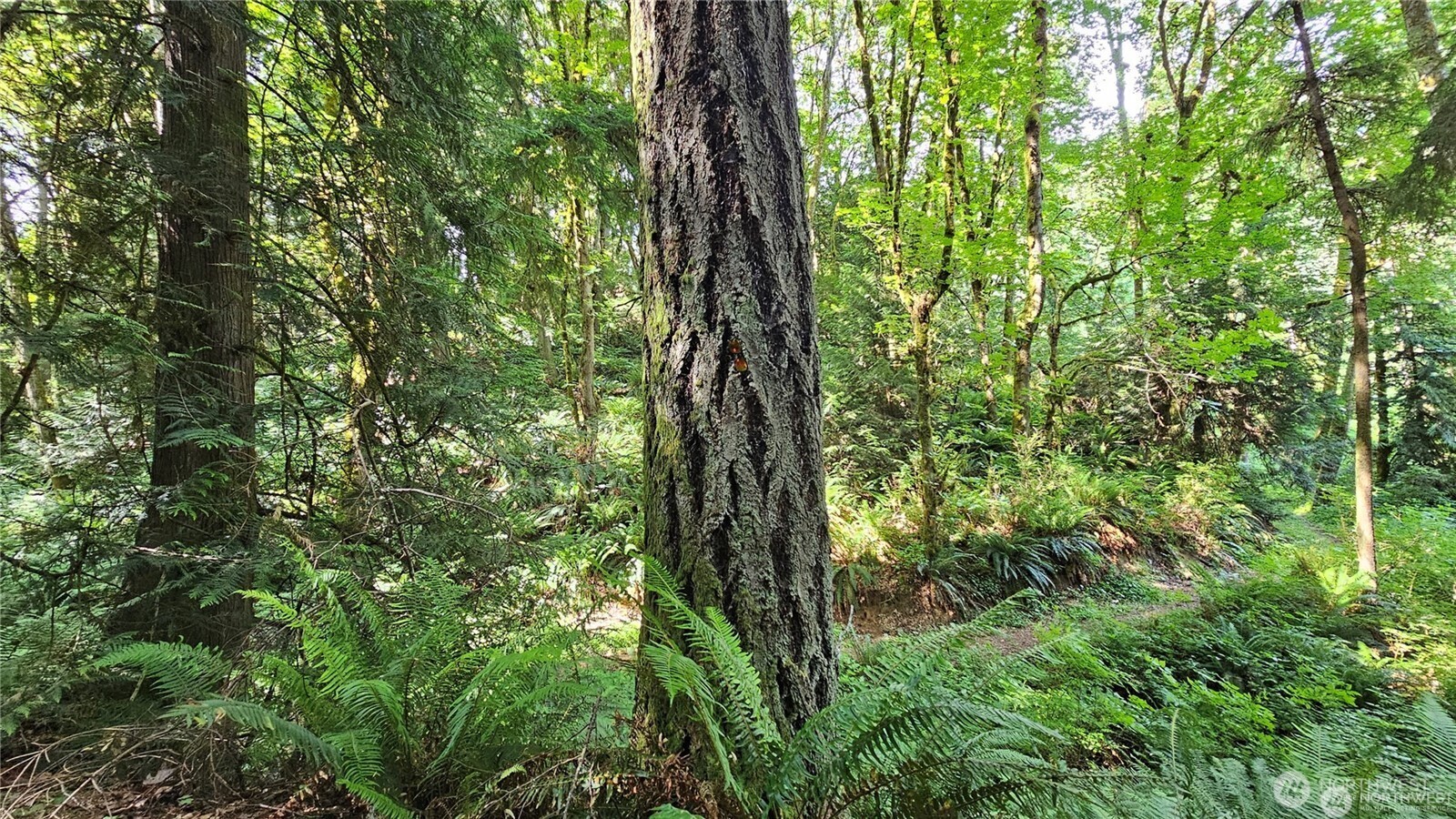 MLS #NWM2469853 image #19