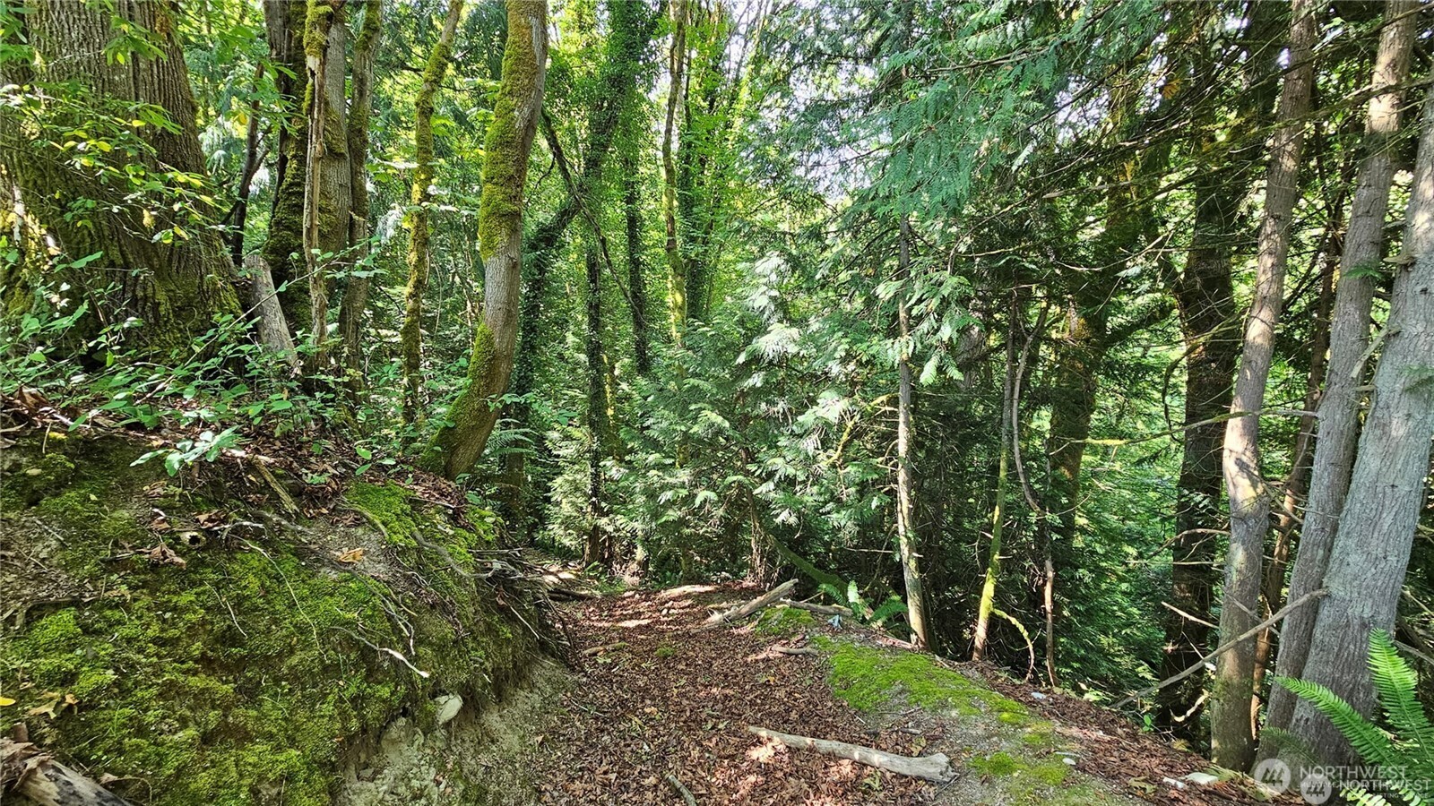 MLS #NWM2469853 image #17