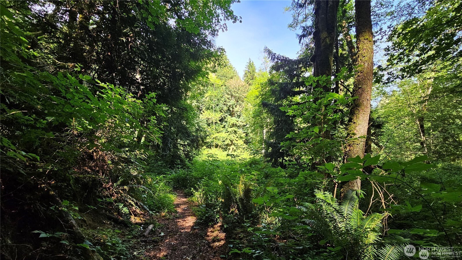 MLS #NWM2469853 image #7