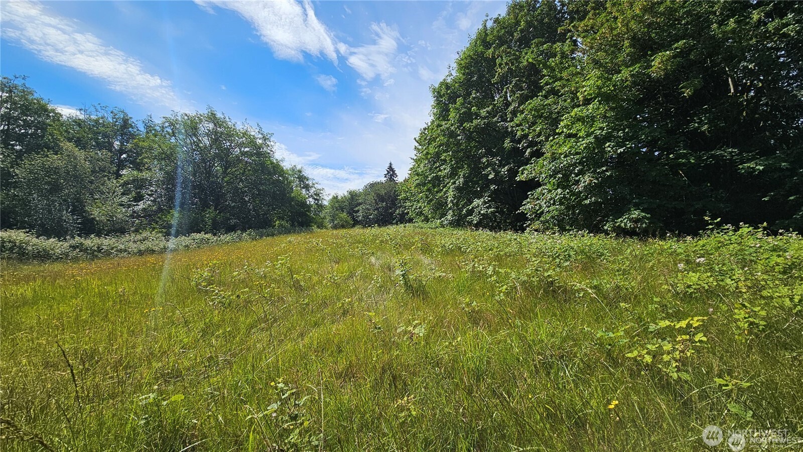 MLS #NWM2469853 image #23