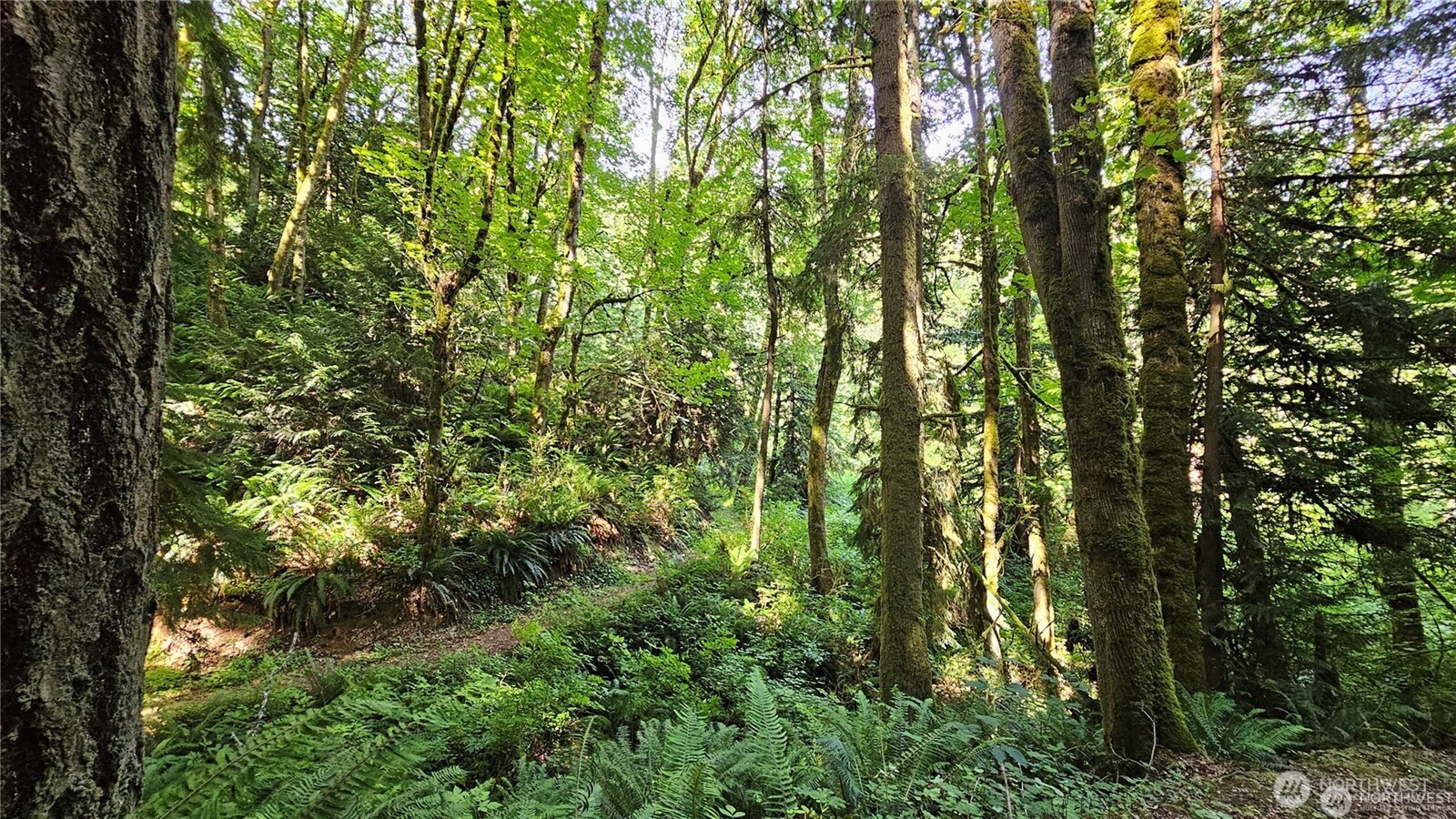 MLS #NWM2469853 image #10