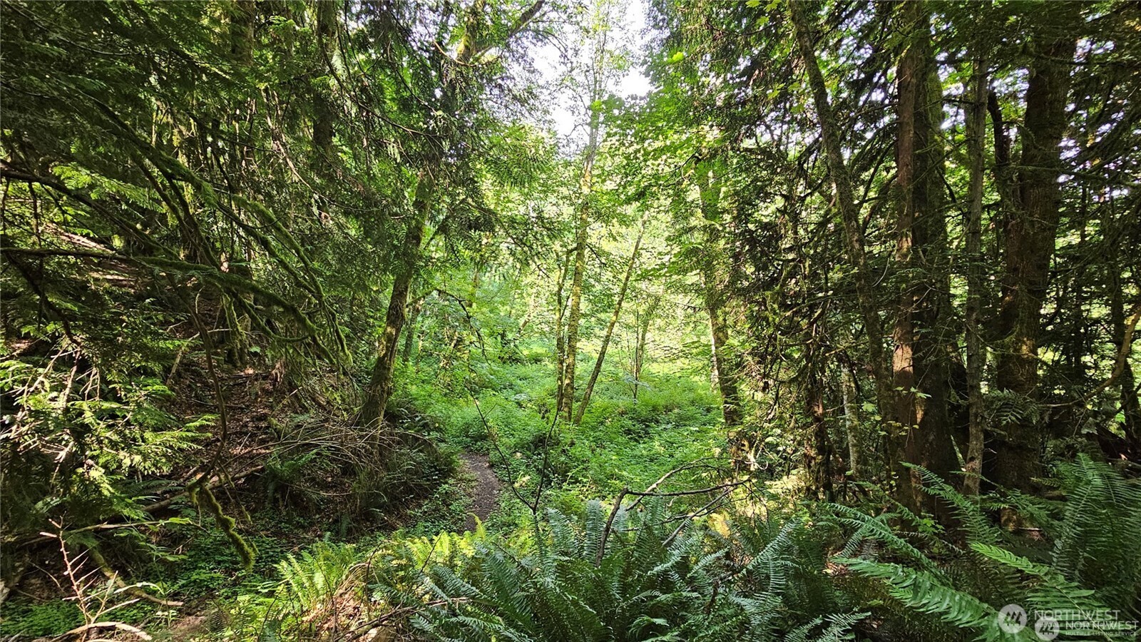 MLS #NWM2469853 image #15