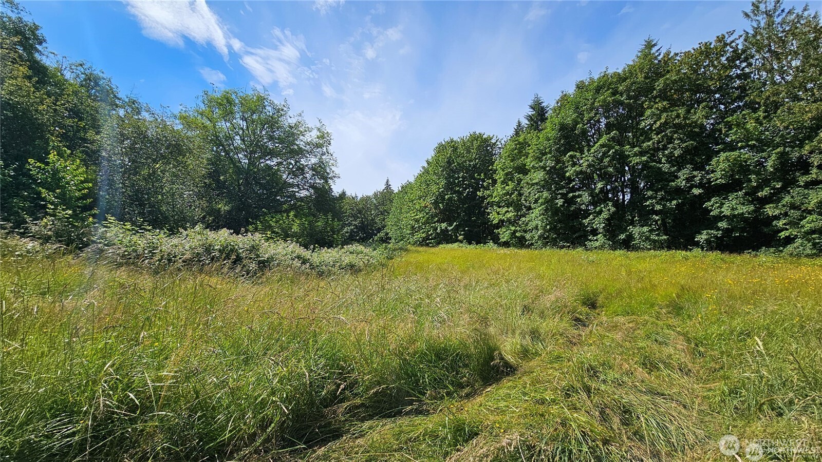 MLS #NWM2469853 image #24