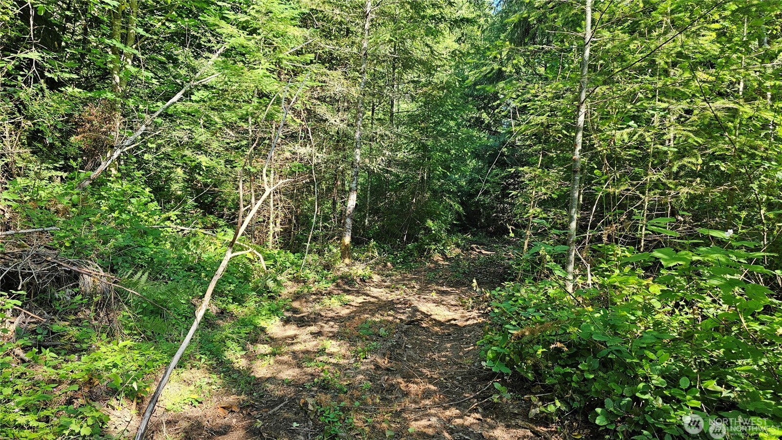 MLS #NWM2469855 image #8