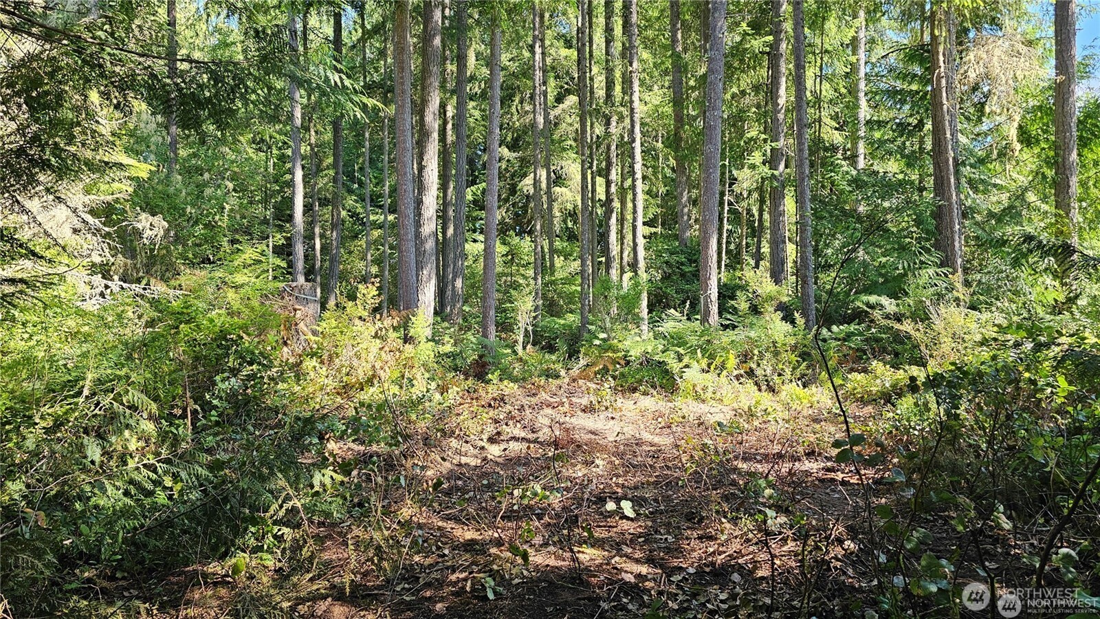 MLS #NWM2469855 image #7