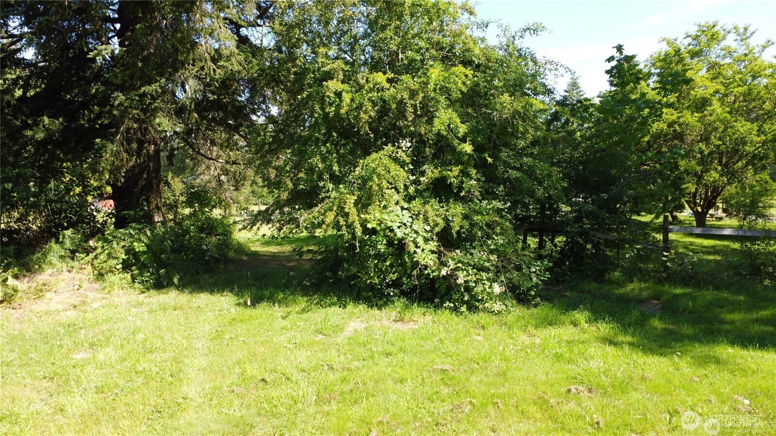 MLS #NWM2469855 image #14