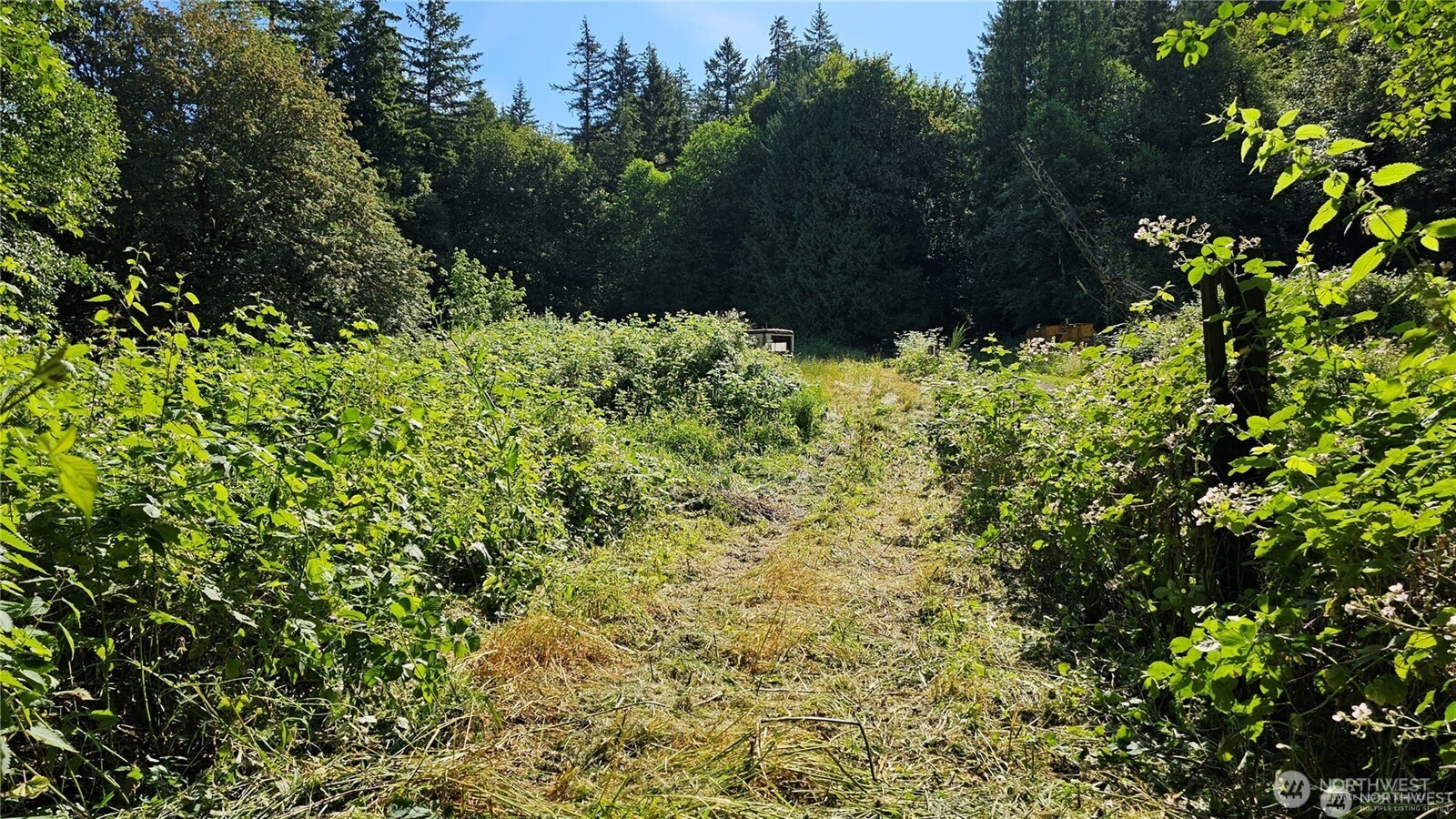 MLS #NWM2469855 image #6