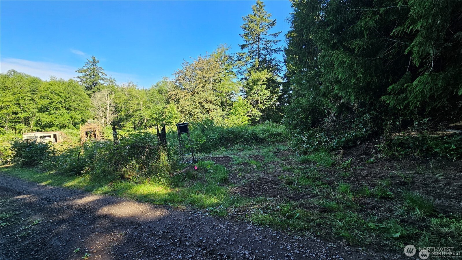 MLS #NWM2469855 image #3