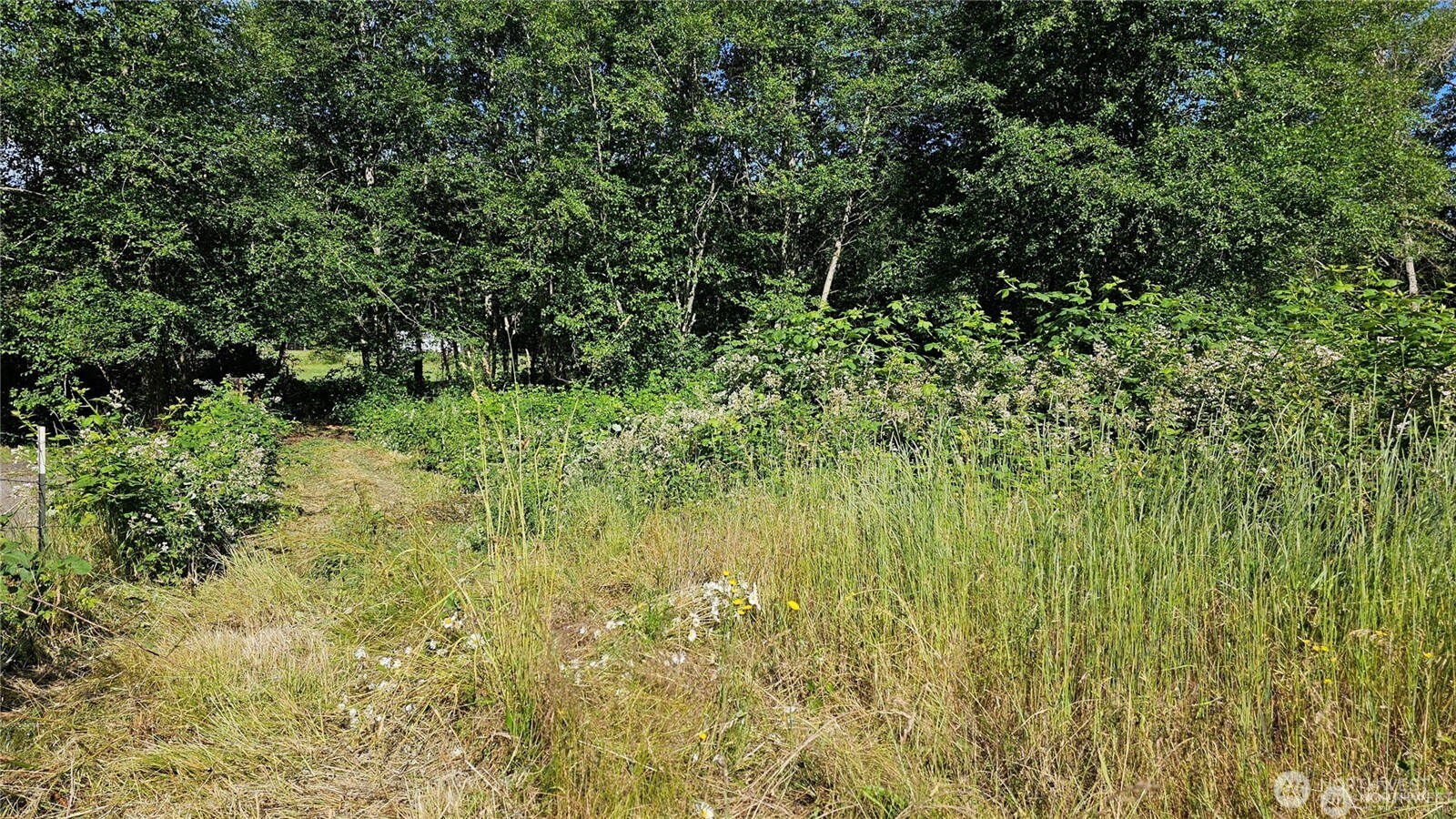 MLS #NWM2469855 image #5