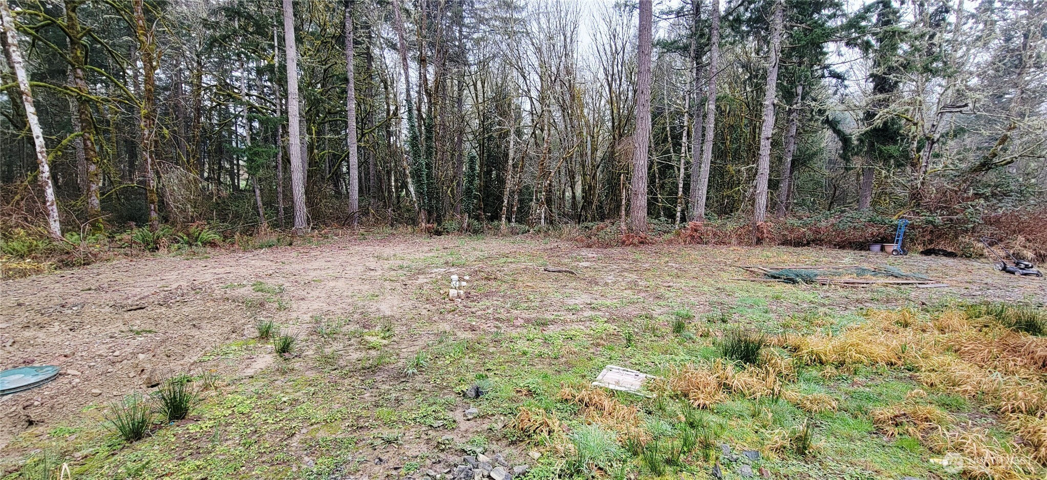 MLS #NWM2469886 image #5