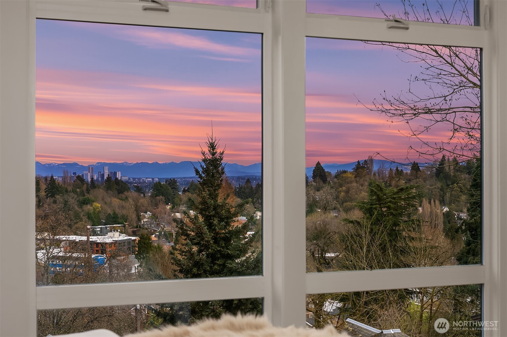 MLS #NWM2476477 image #15