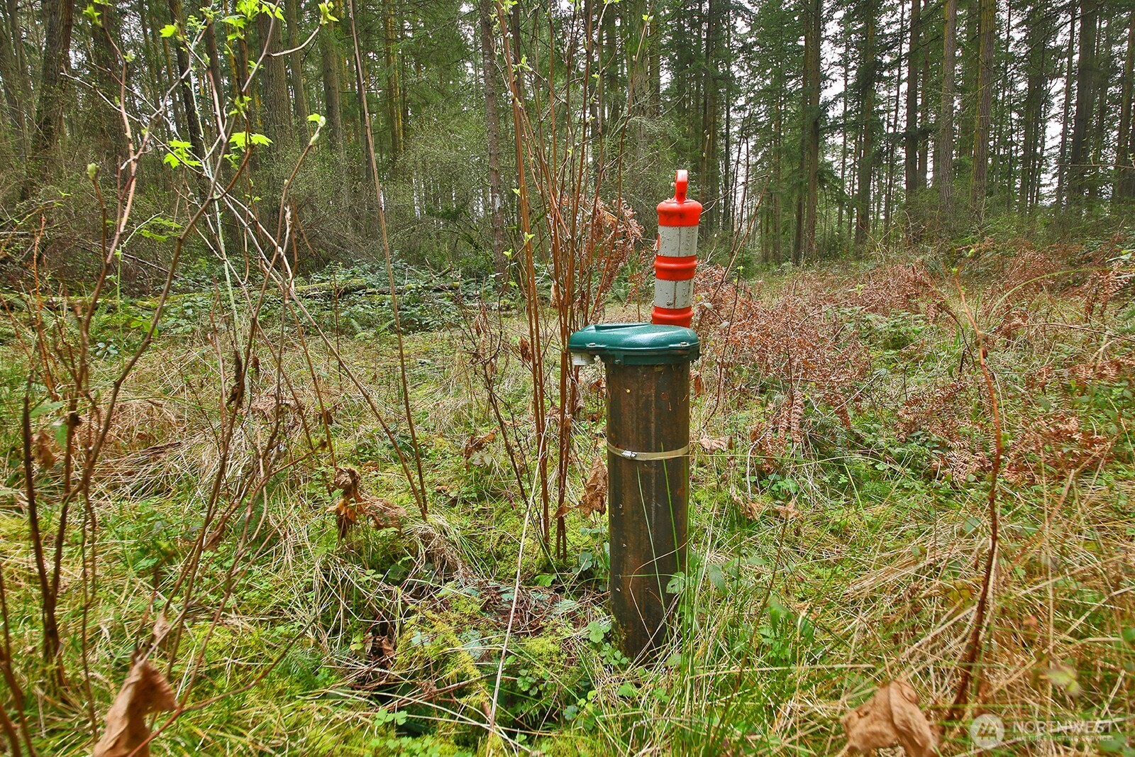 MLS #NWM2493613 image #6