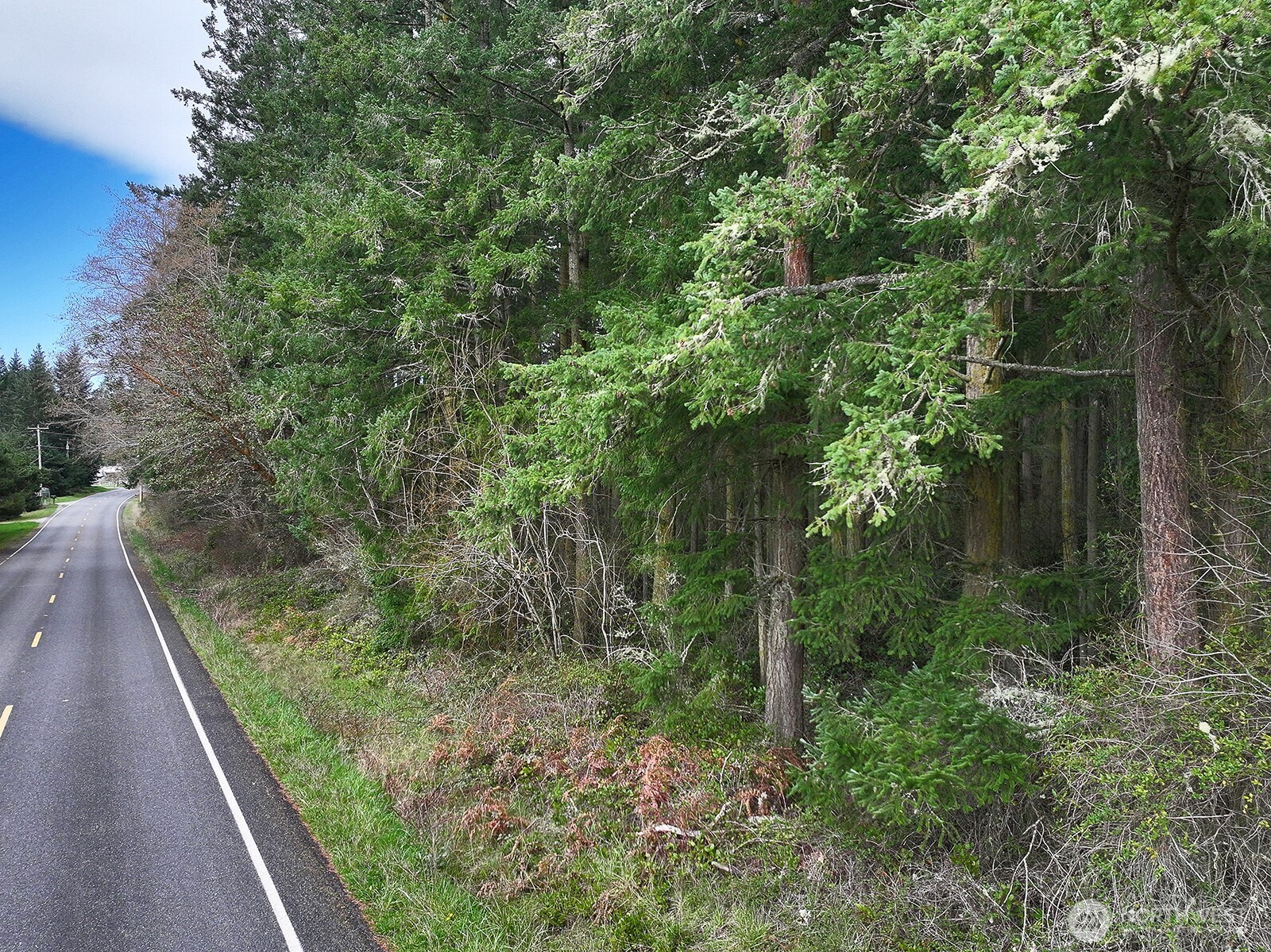 MLS #NWM2493613 image #14