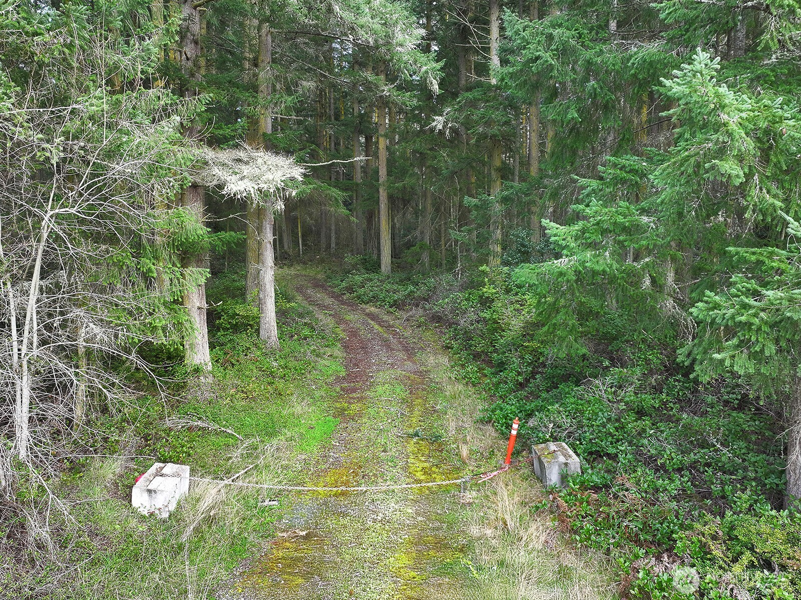 MLS #NWM2493613 image #15