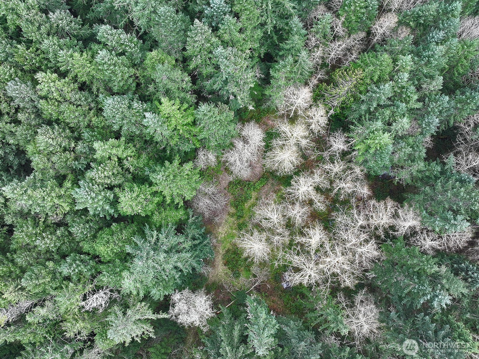 MLS #NWM2493613 image #24