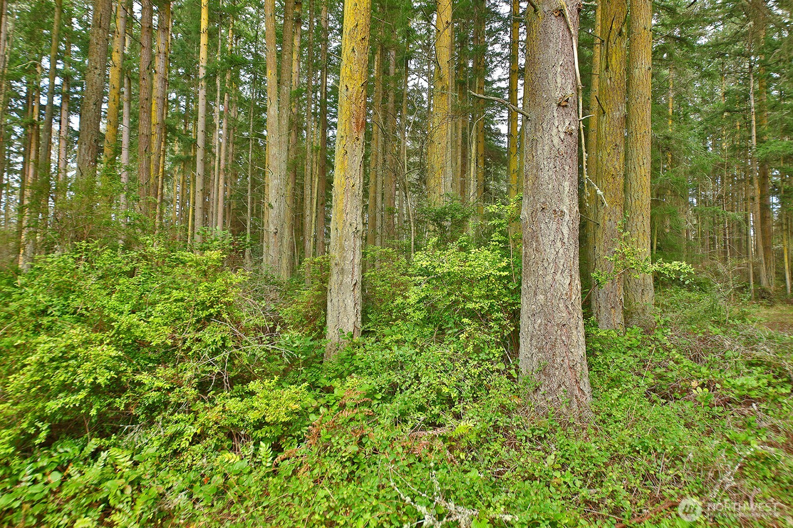 MLS #NWM2493613 image #0