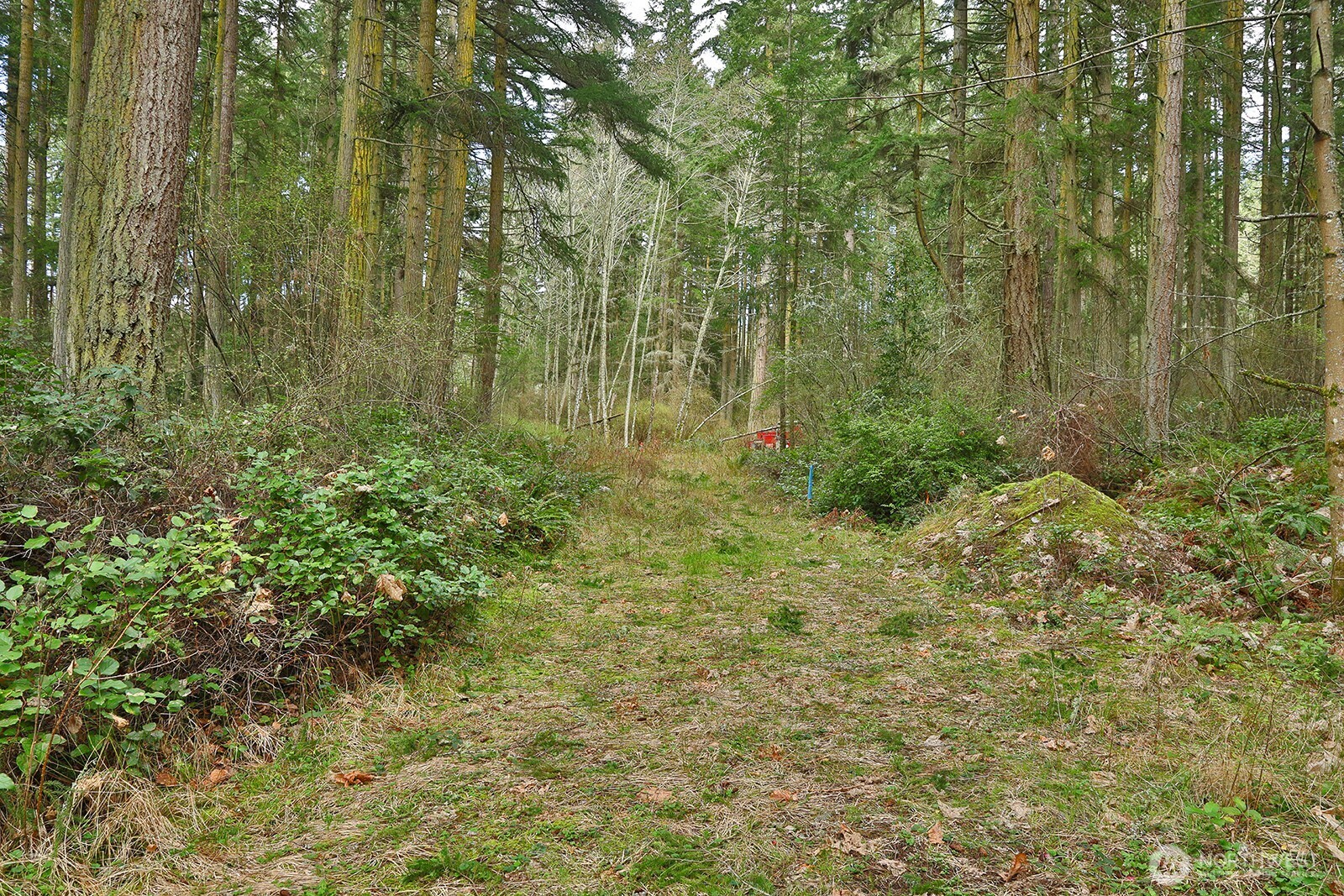 MLS #NWM2493613 image #5