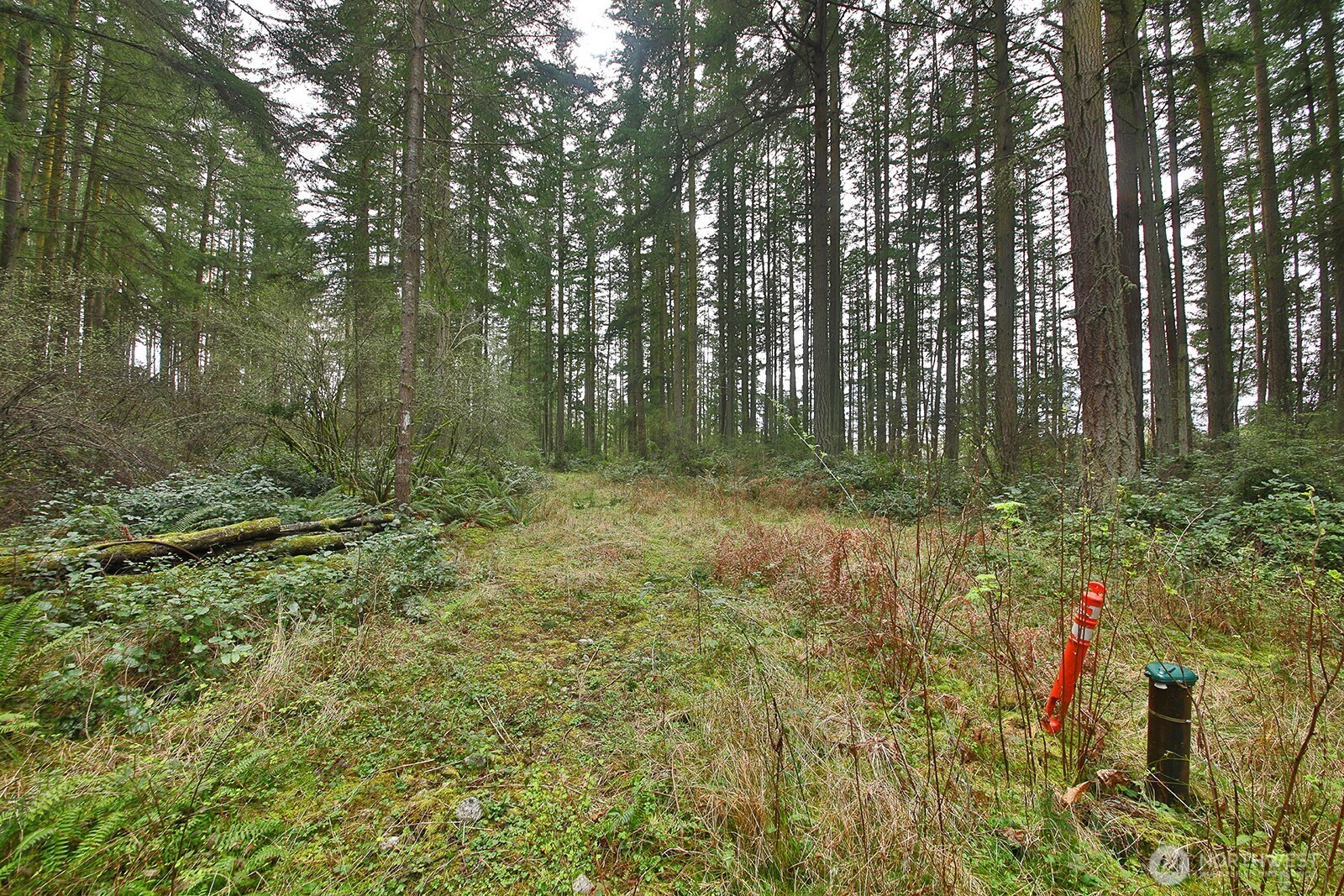 MLS #NWM2493613 image #7