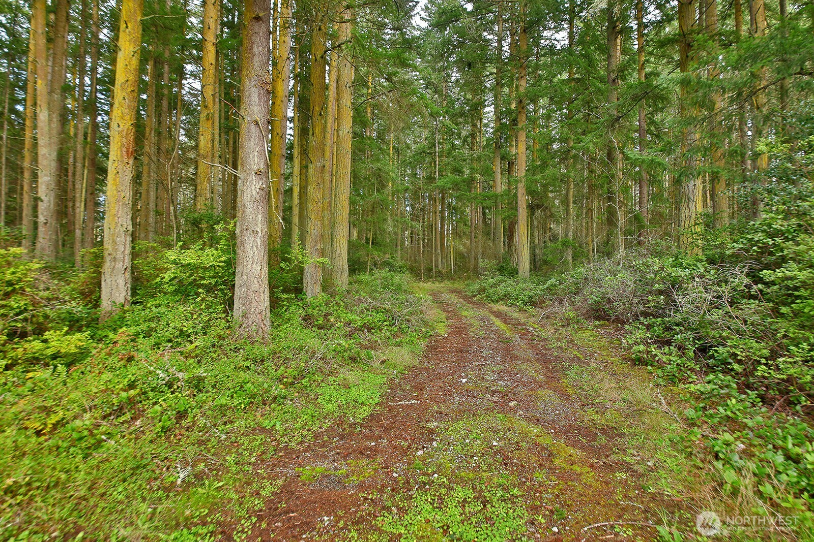 MLS #NWM2493613 image #1