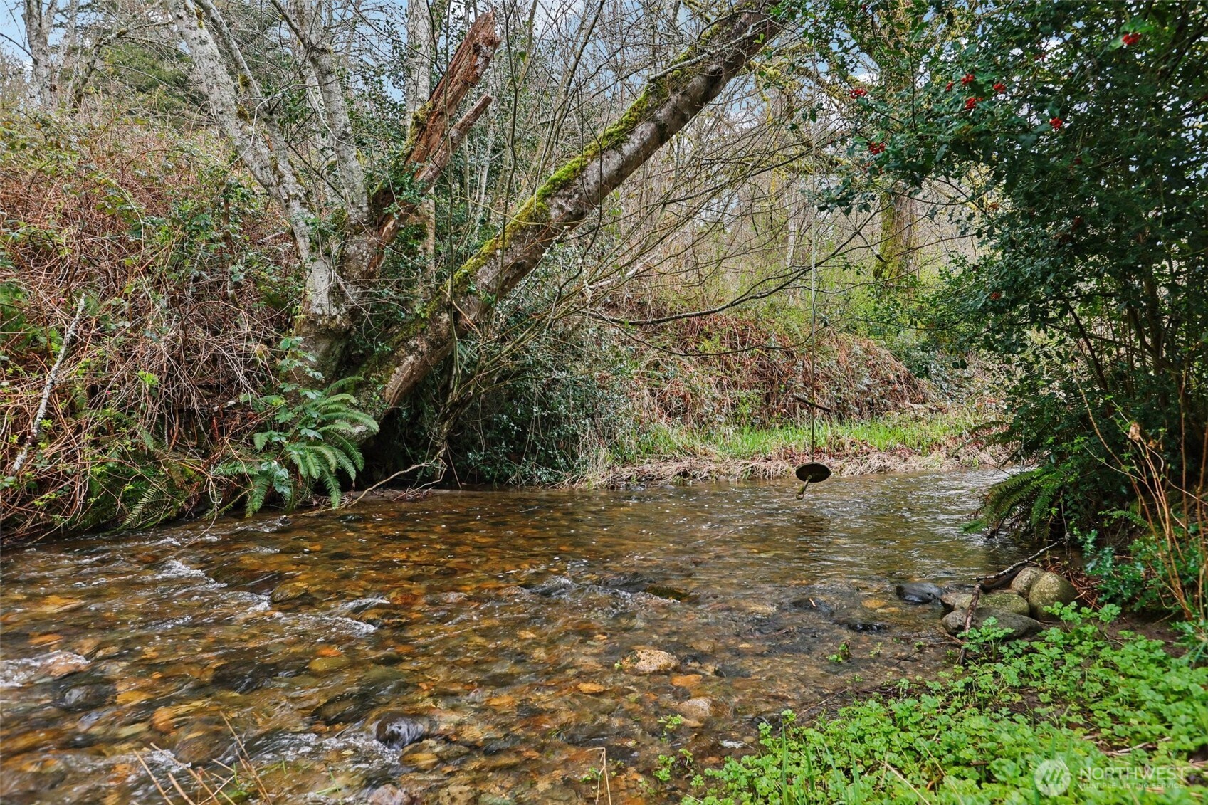 MLS #NWM2496137 image #32