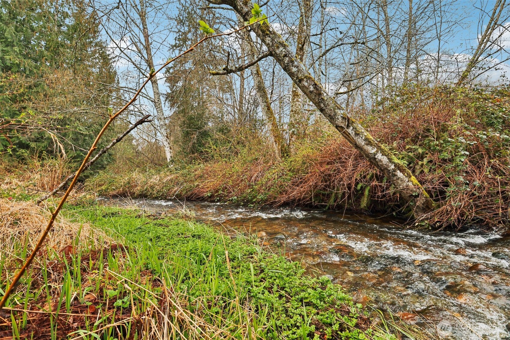 MLS #NWM2496137 image #33