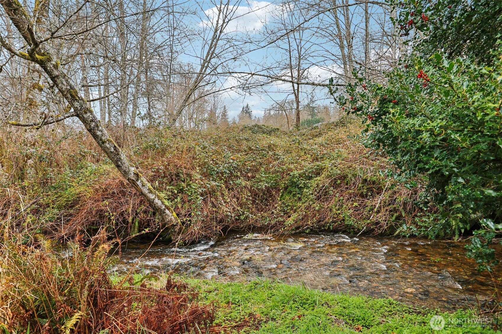 MLS #NWM2496137 image #31