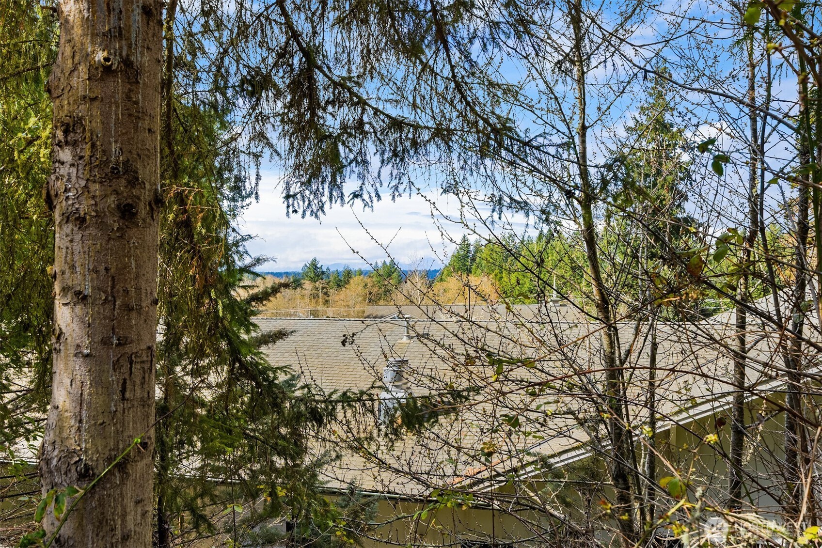 MLS #NWM2497308 image #17