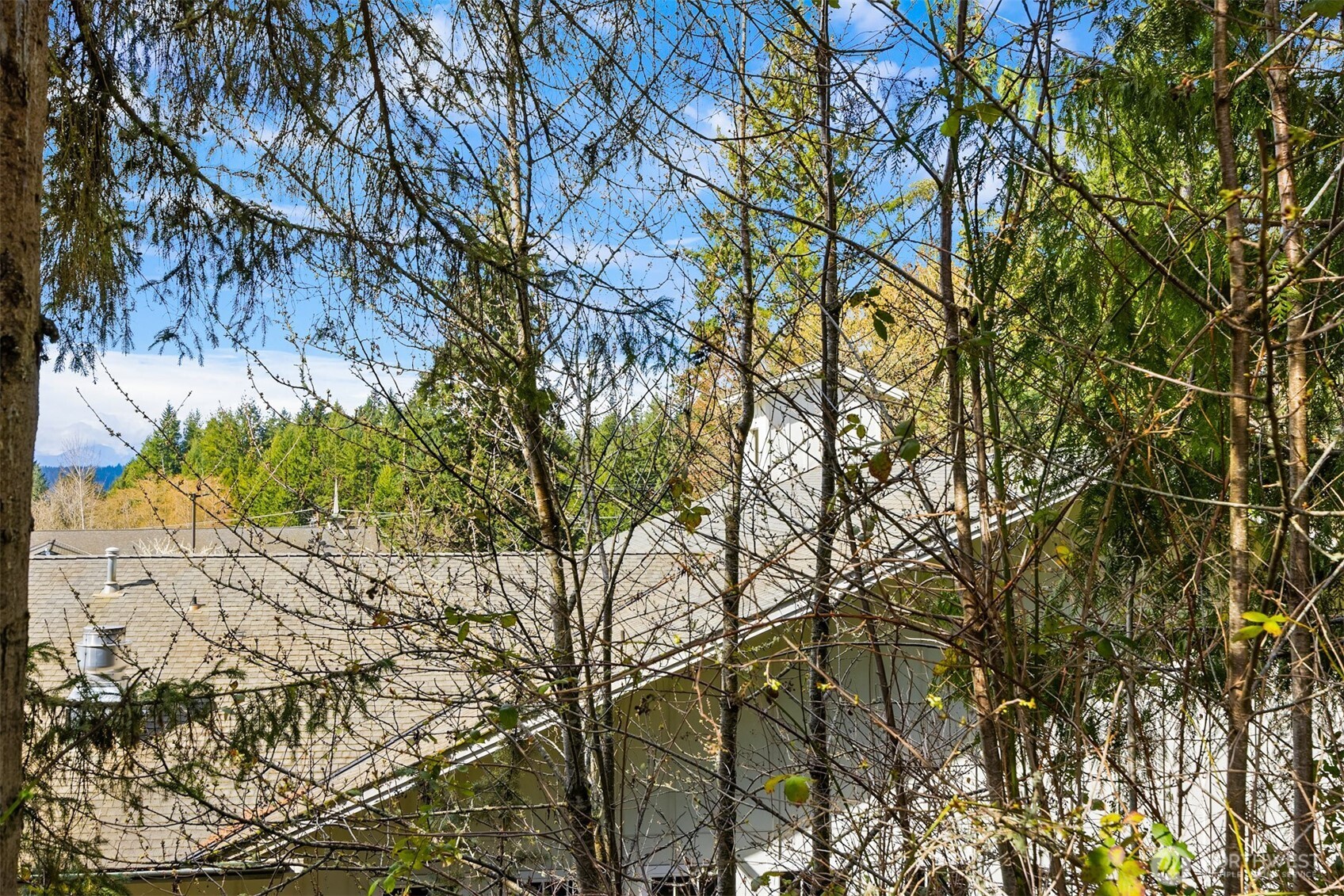 MLS #NWM2497308 image #15