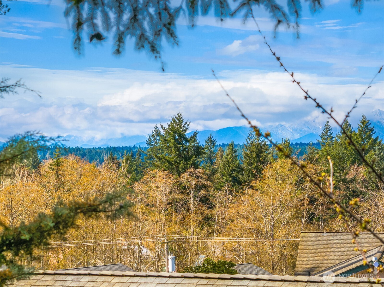 MLS #NWM2497308 image #18