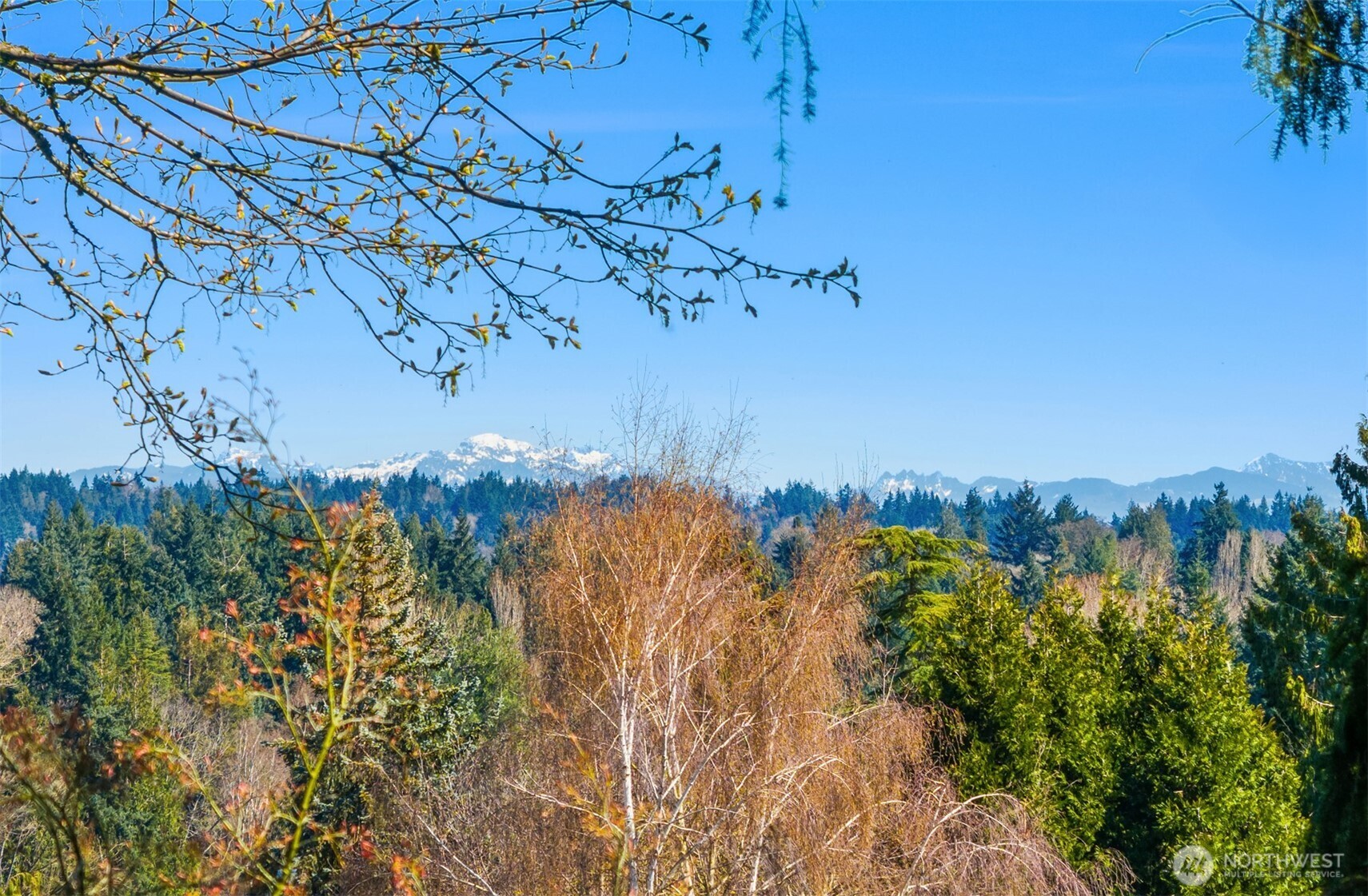 MLS #NWM2499480 image #20