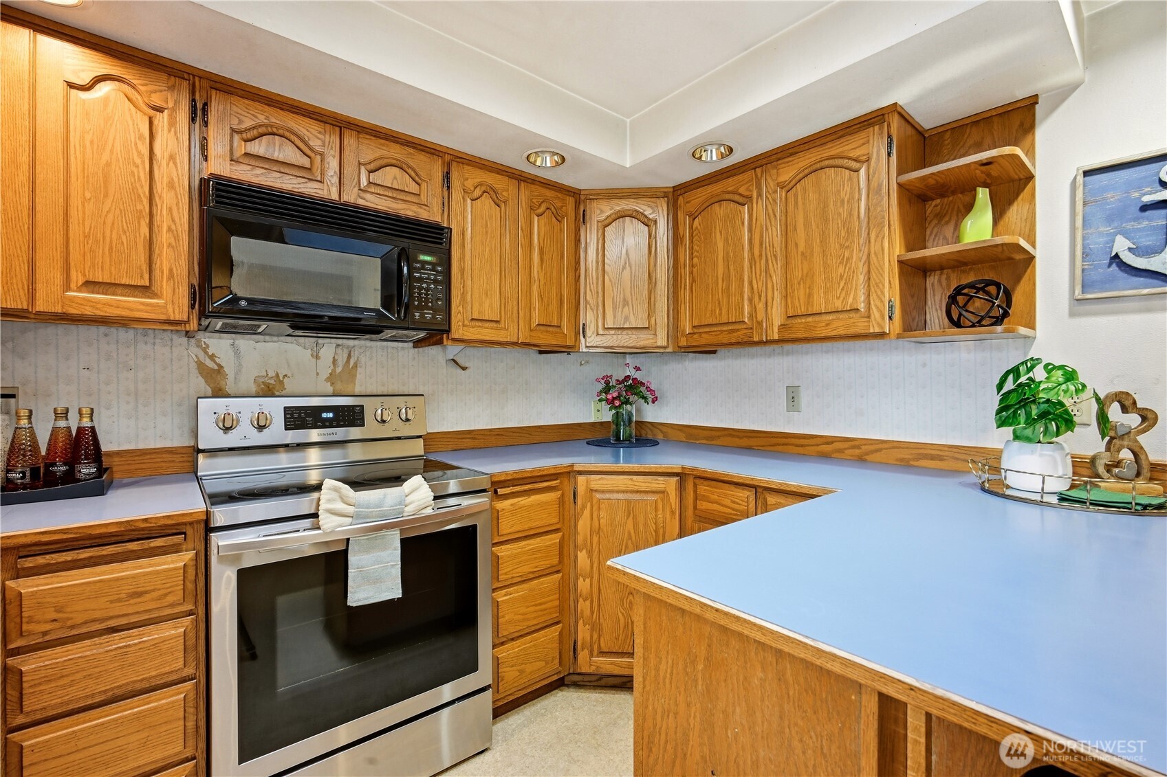 MLS #NWM2499671 image #14