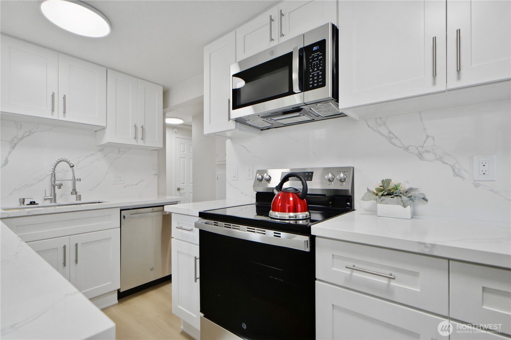 MLS #NWM2500078 image #11