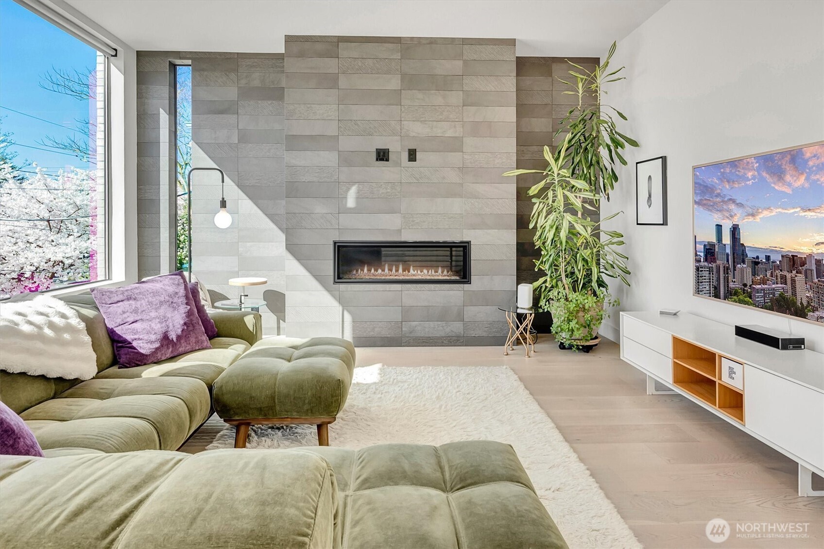 MLS #NWM2500115 image #4