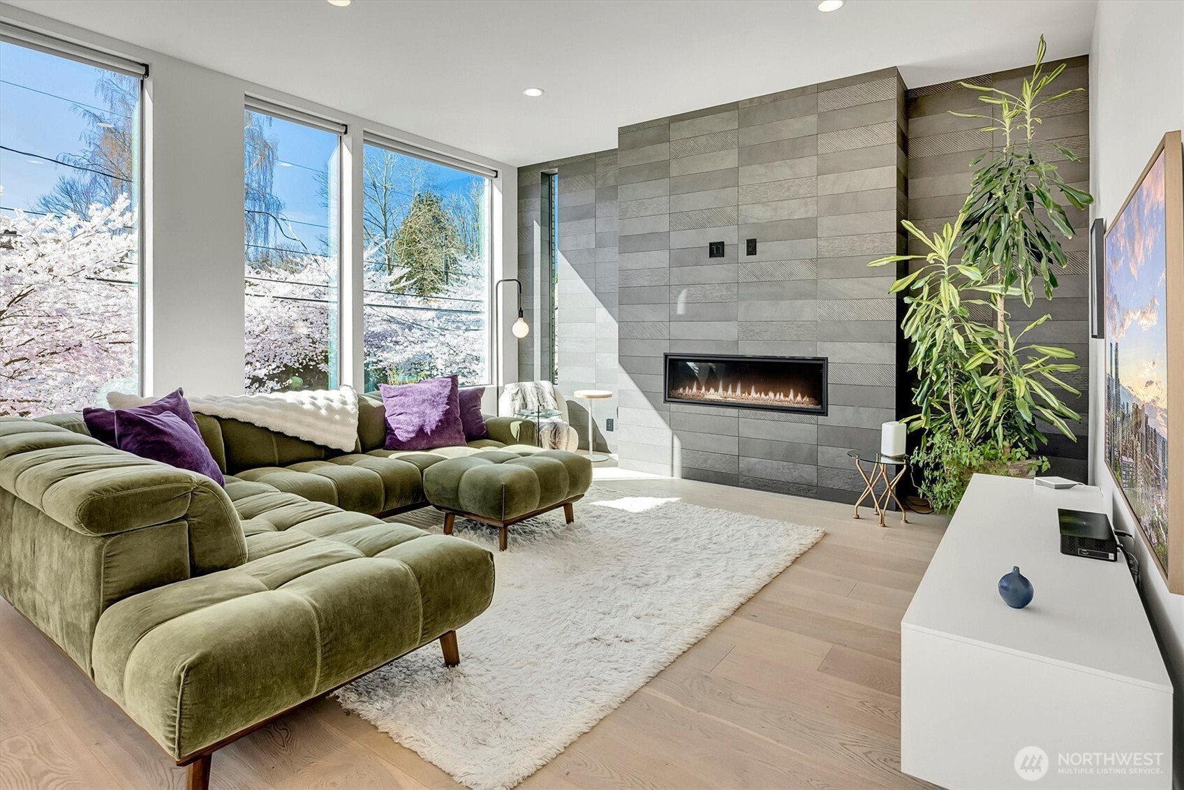 MLS #NWM2500115 image #3