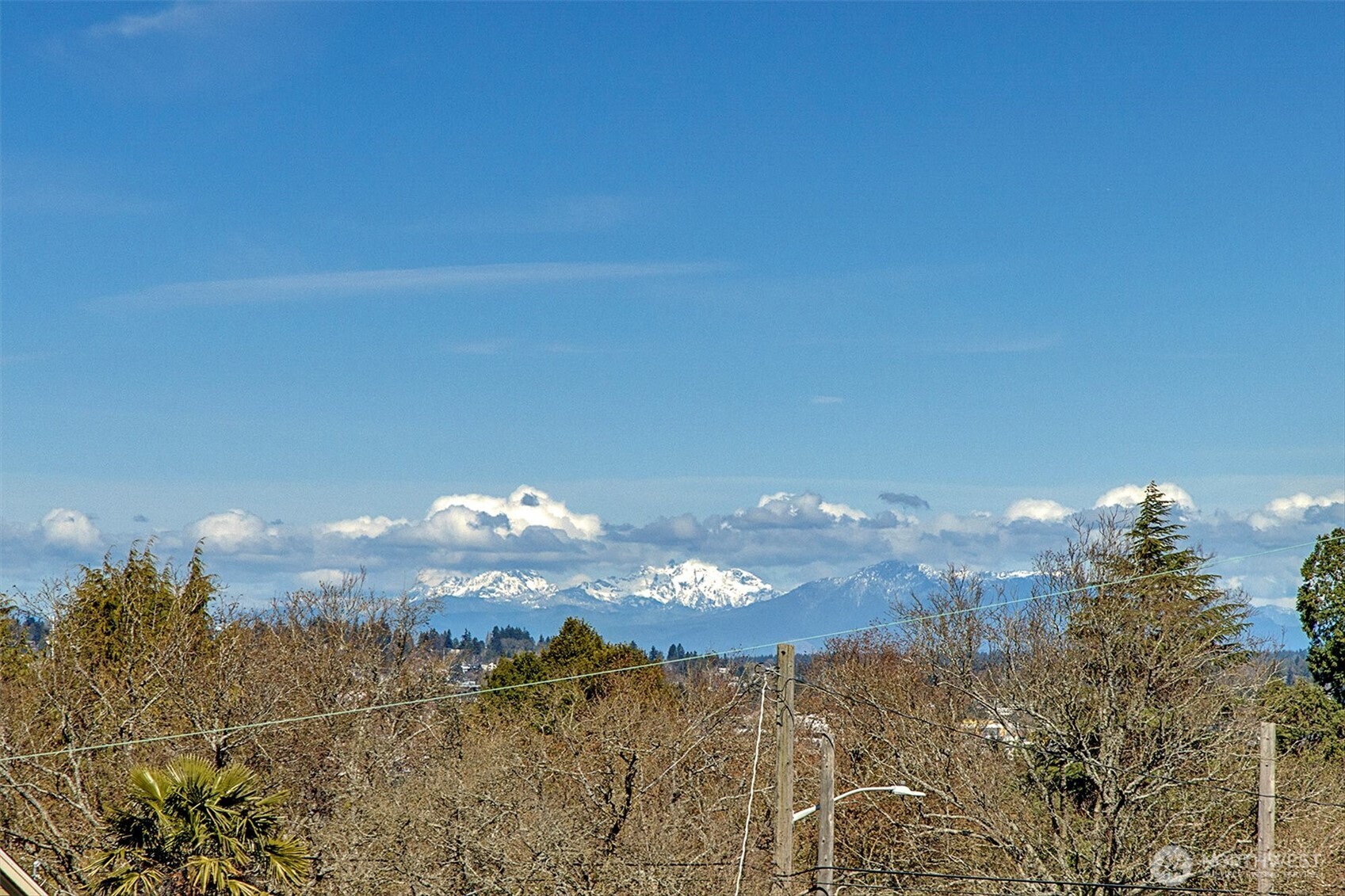 MLS #NWM2500115 image #35