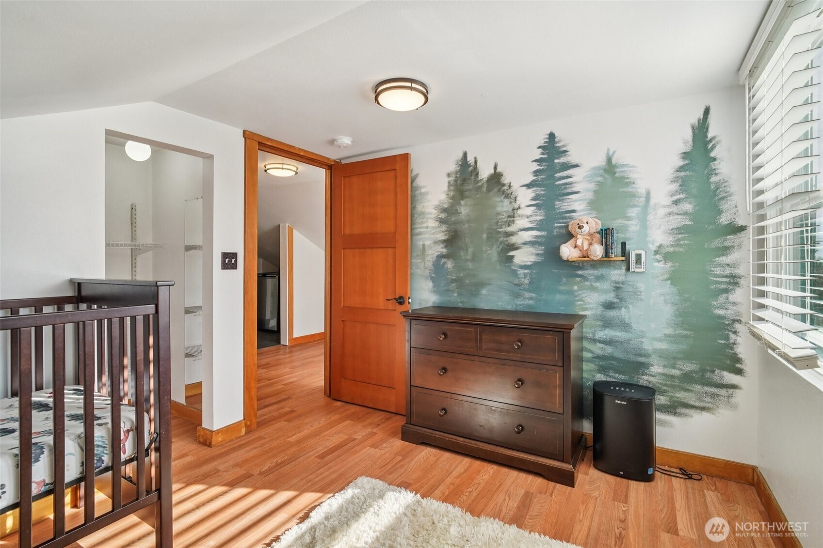 MLS #NWM2500130 image #25