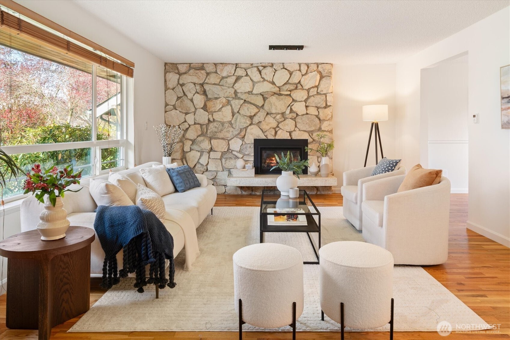 MLS #NWM2500153 image #4