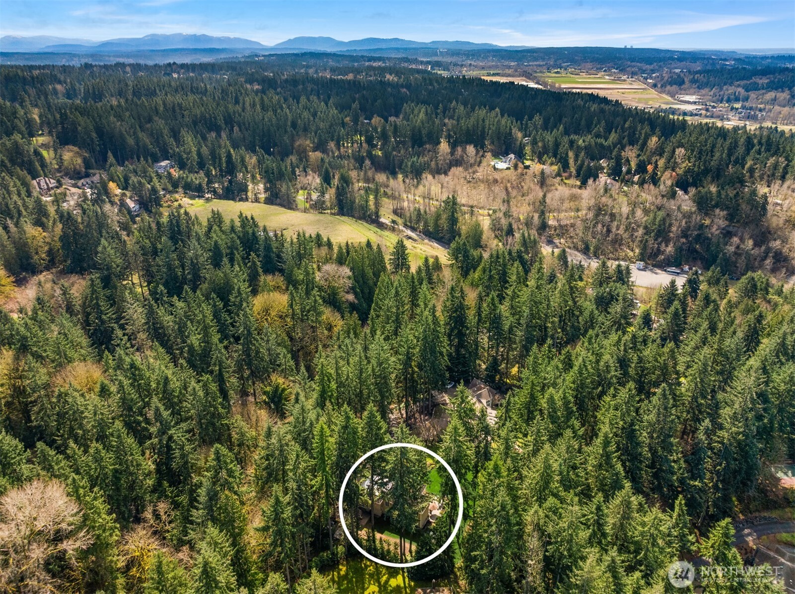 MLS #NWM2500212 image #38