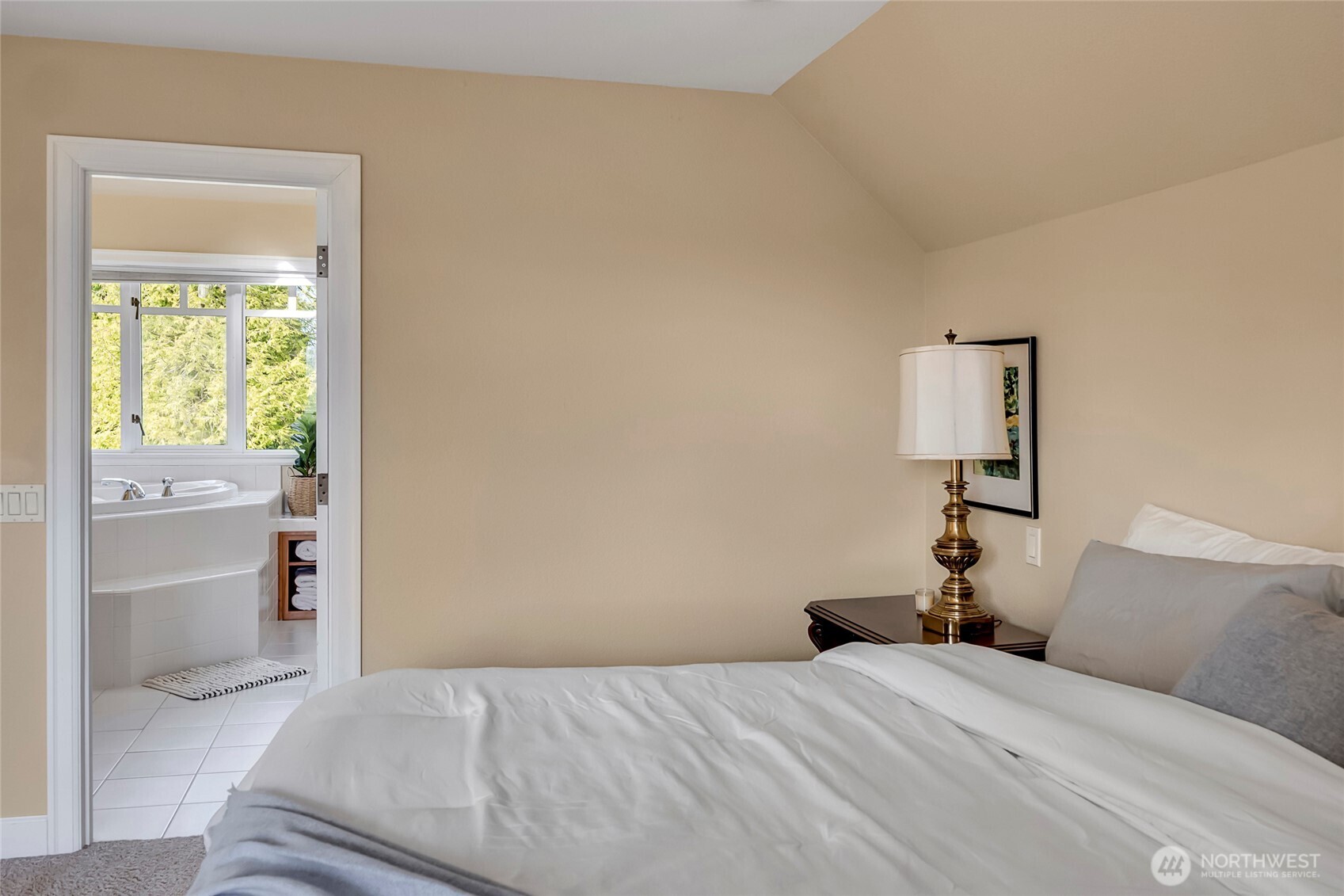 MLS #NWM2500214 image #17