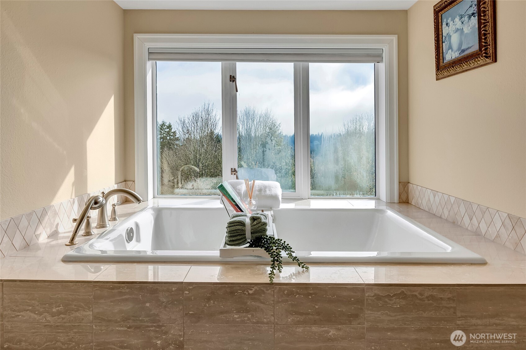 MLS #NWM2500214 image #31