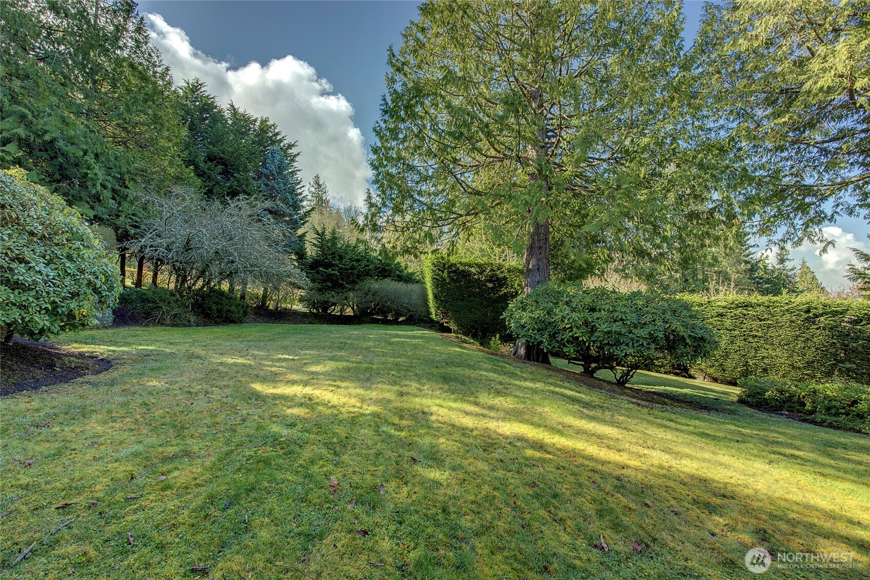 MLS #NWM2500214 image #37