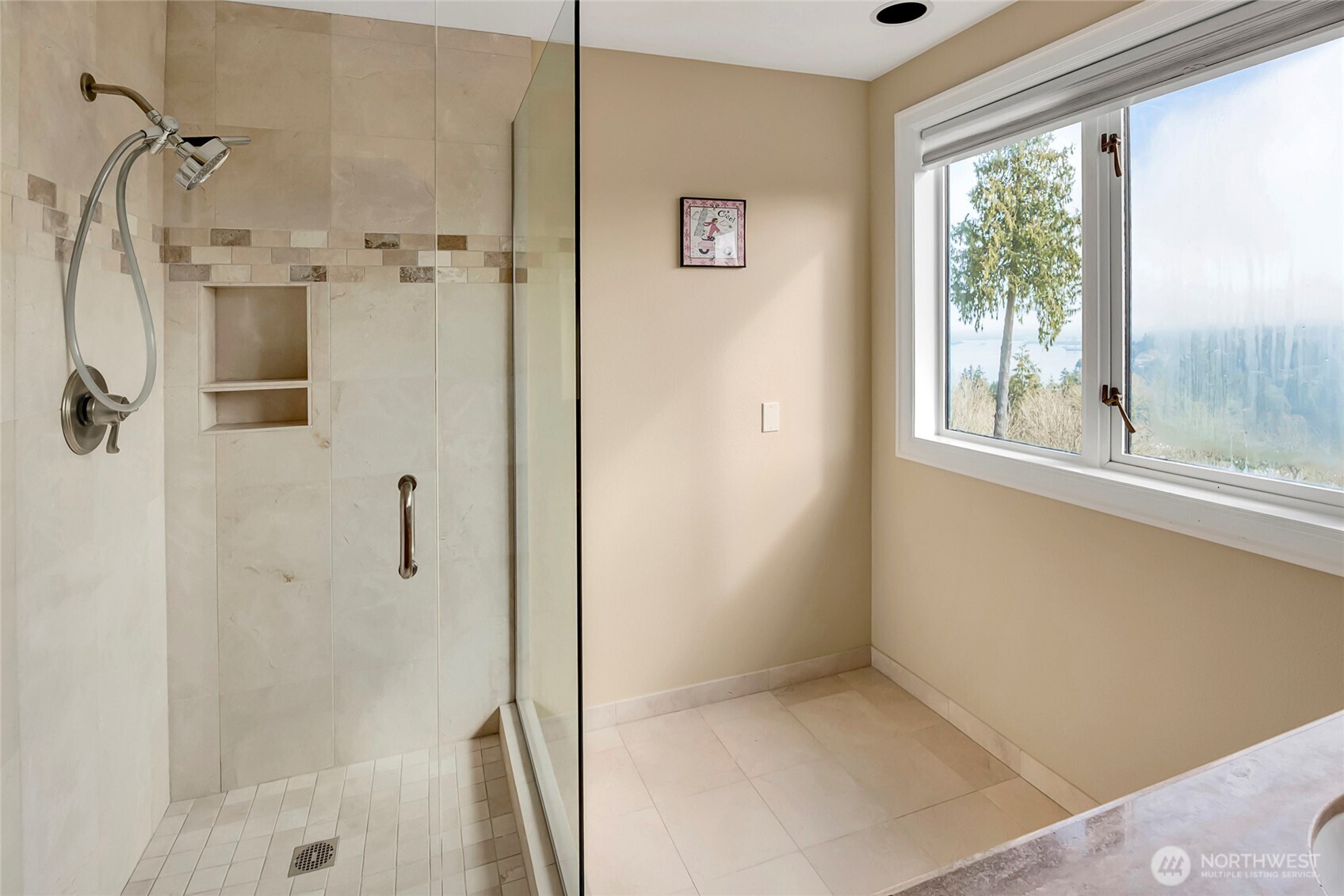 MLS #NWM2500214 image #25