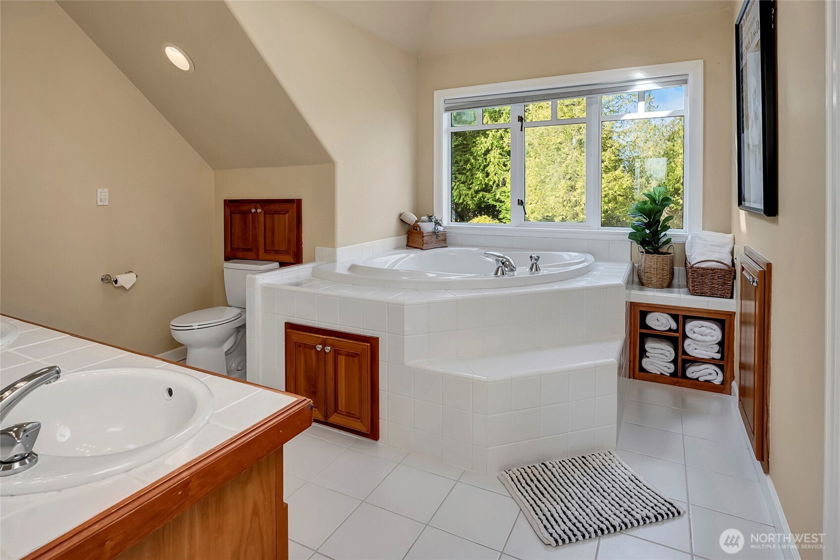 MLS #NWM2500214 image #18