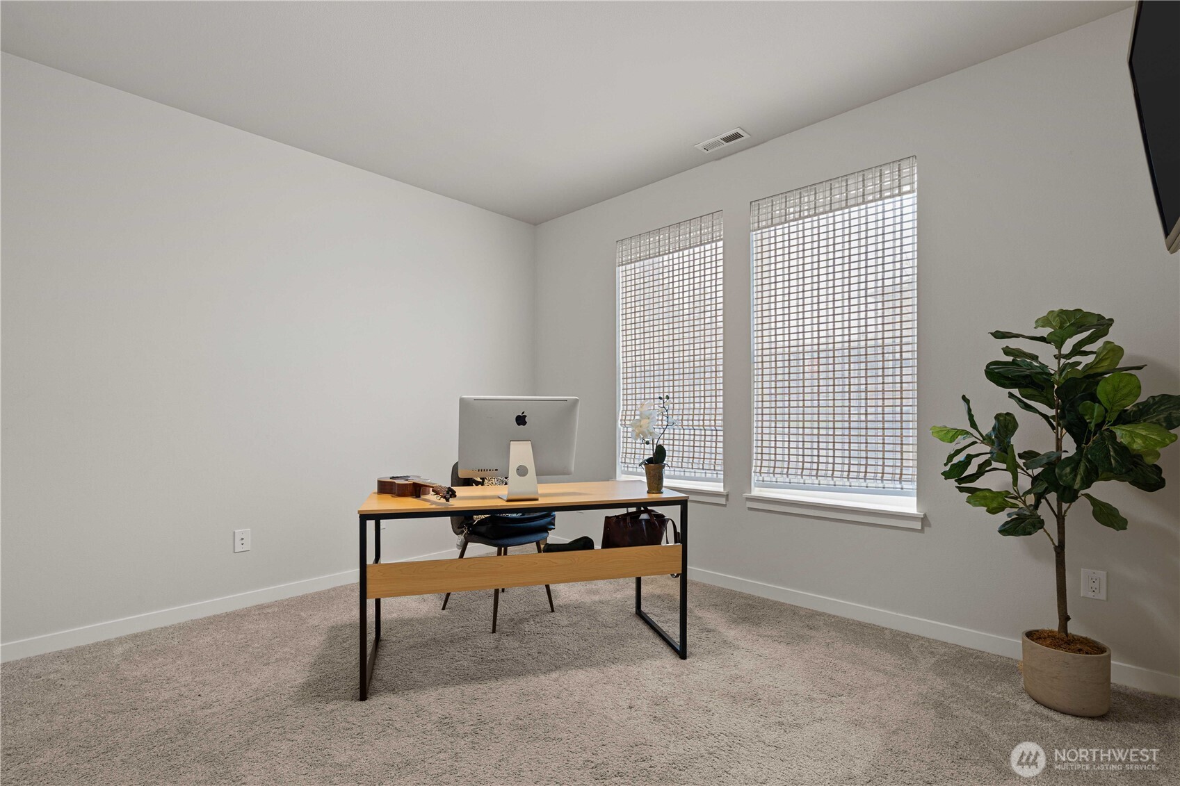 MLS #NWM2500269 image #12