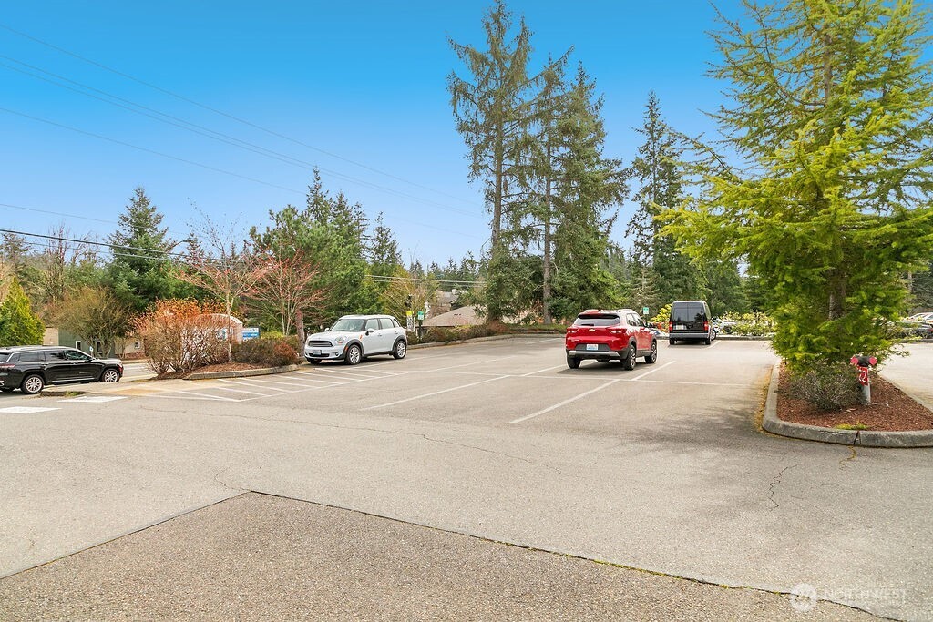 MLS #NWM2500282 image #8